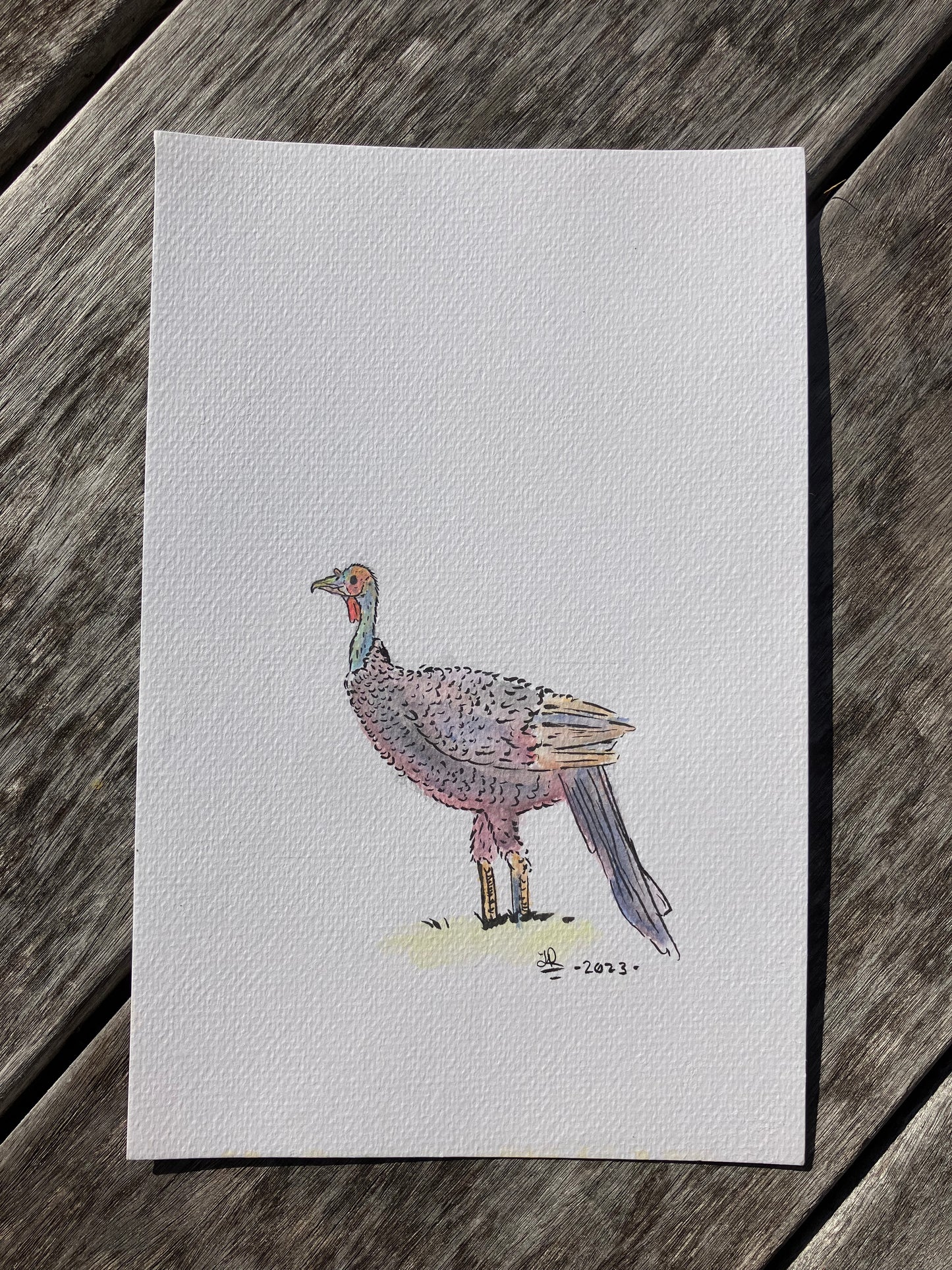 The Turkey