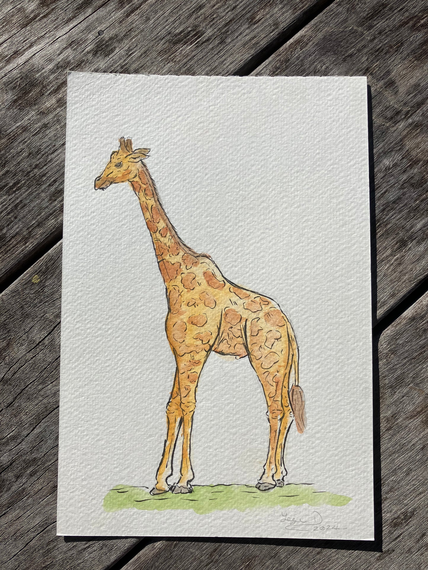 Bolo the Giraffe
