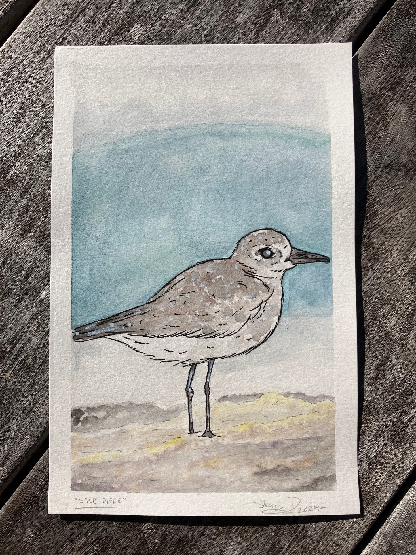 Sand Piper
