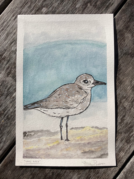 Sand Piper