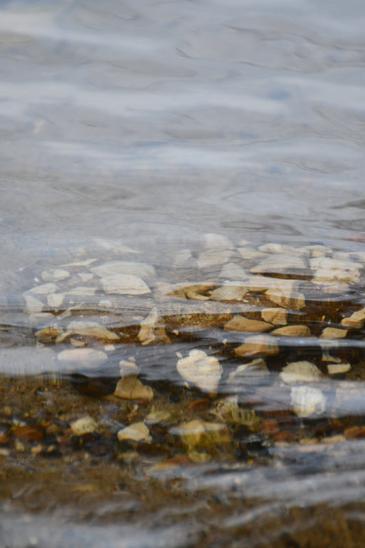 Shells in the Water