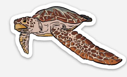 Sea Turtle