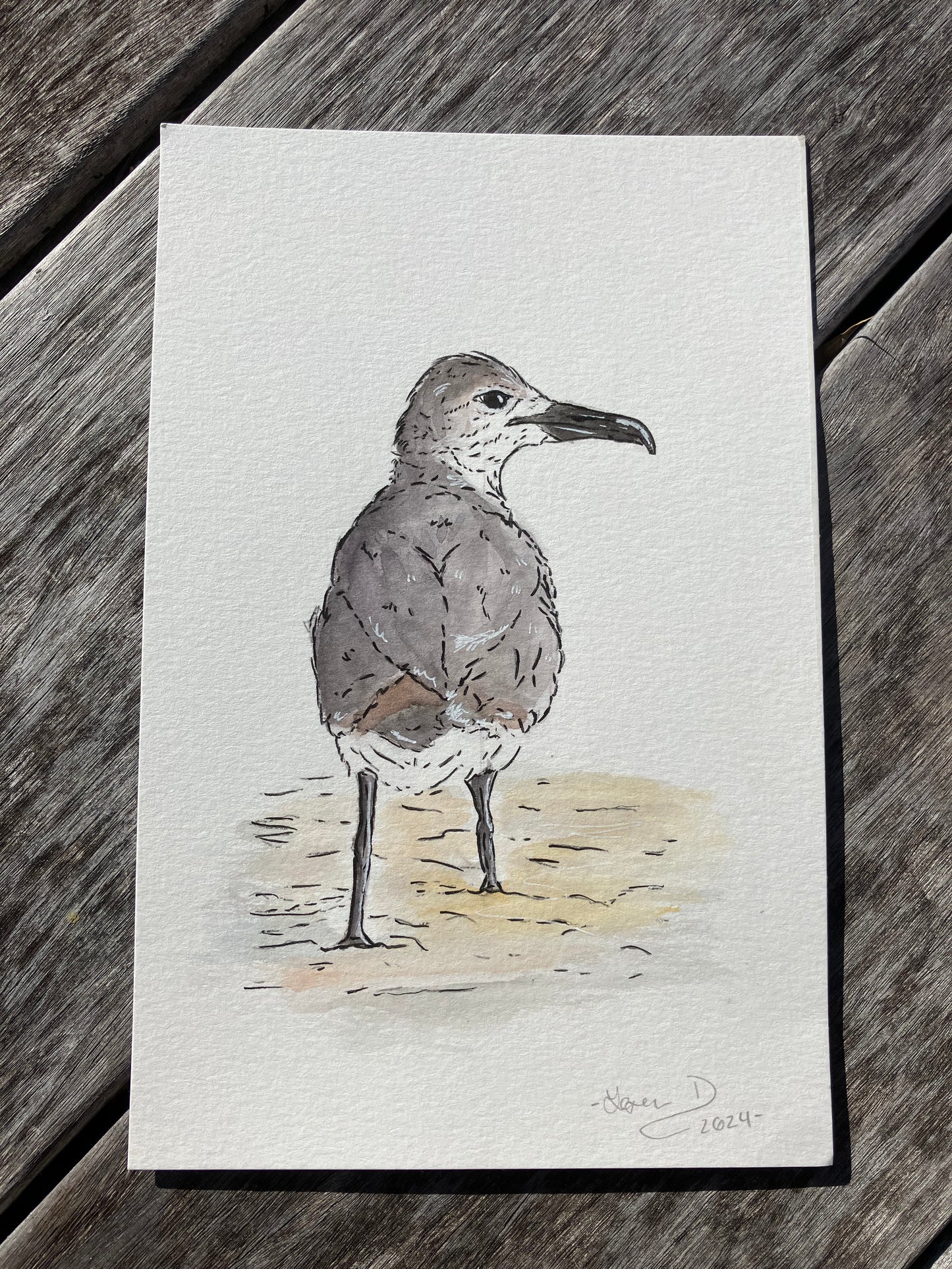 Seagull