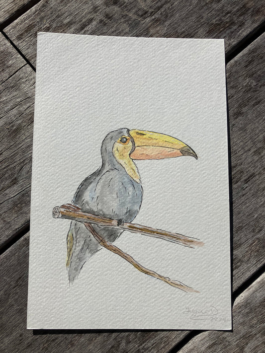 Toucan