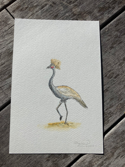 Black Crowned Crane