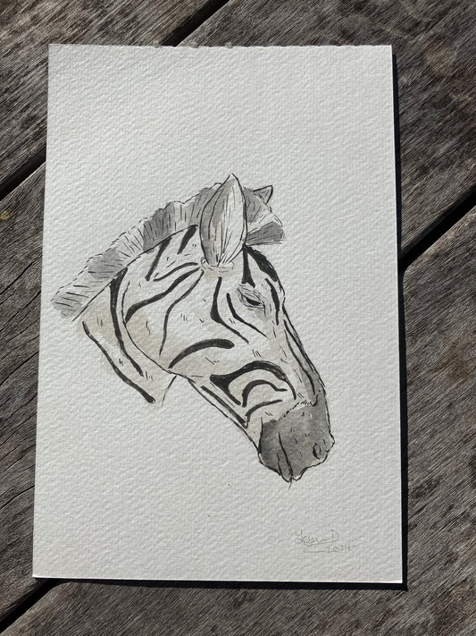 Zebra