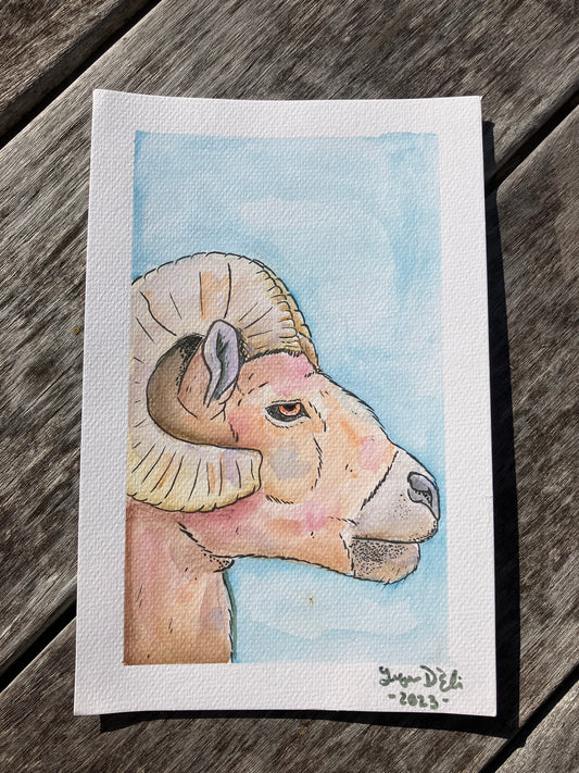 The Ram