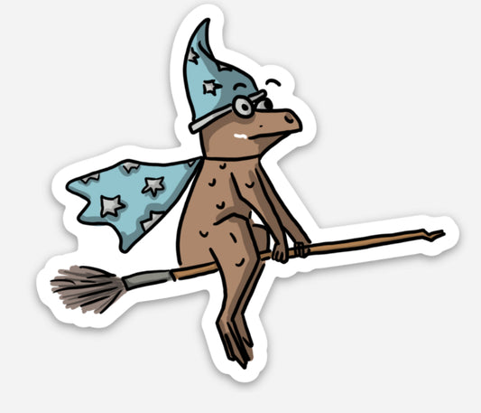Robert the Wizard