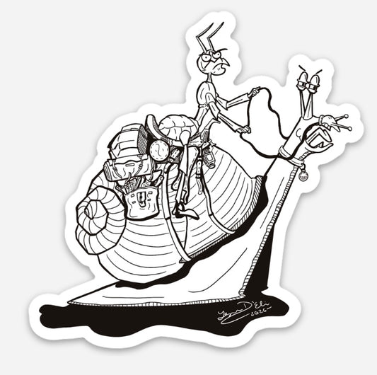 Email the Snail